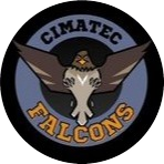 Falcons